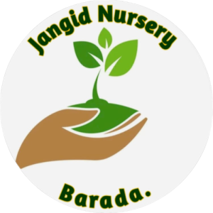 Jangid Plant Nursery