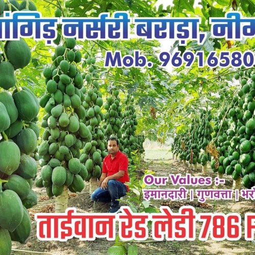 WhatsApp-Image-2022-11-22-at-10.30.37-PM