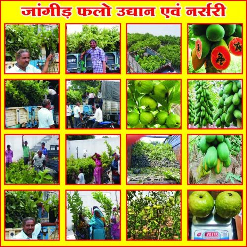 WhatsApp-Image-2022-11-22-at-10.30.38-PM