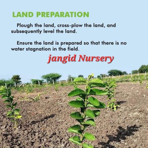 WhatsApp-Image-2022-11-22-at-10.31.41-PM