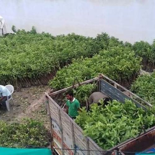 WhatsApp Image 2022-11-22 at 10.34.21 PM (1)