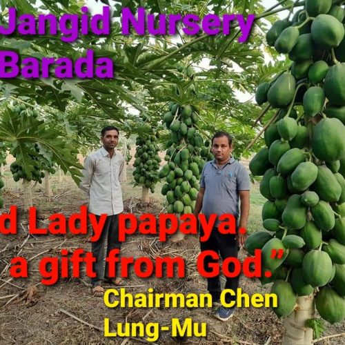 WhatsApp-Image-2022-11-22-at-10.34.23-PM-1