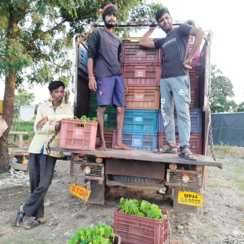 WhatsApp Image 2022-11-22 at 10.39.25 PM