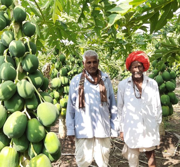 WhatsApp Image 2022-11-22 at 10.39.28 PM (1)