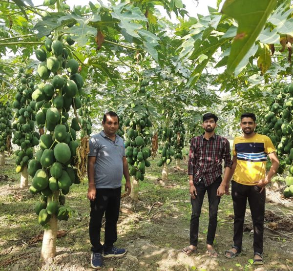 WhatsApp Image 2022-11-22 at 10.39.29 PM (1)