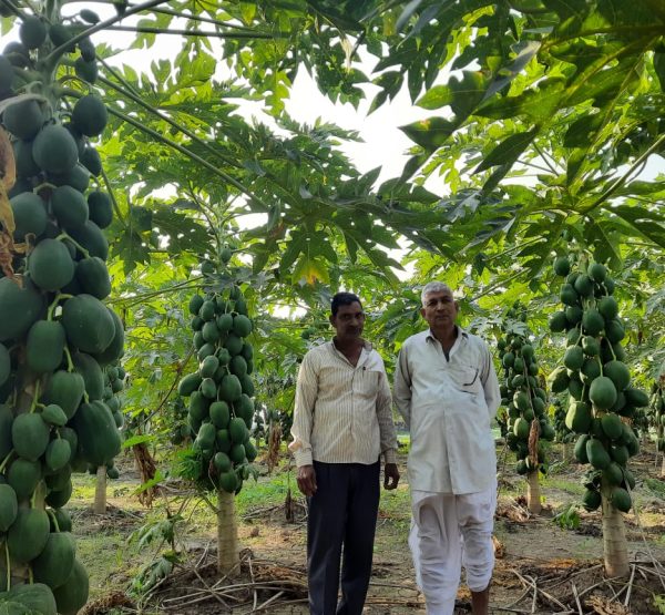 WhatsApp Image 2022-11-22 at 10.39.30 PM (1)