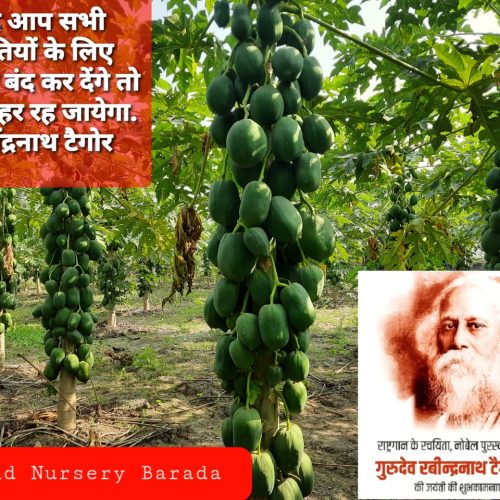 WhatsApp-Image-2022-11-22-at-10.39.30-PM