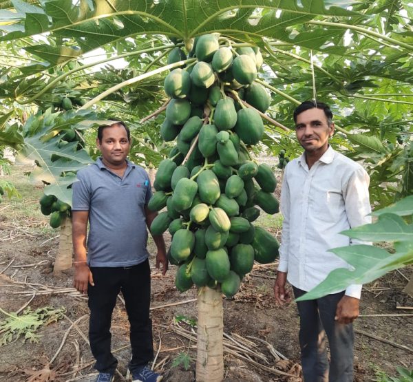 WhatsApp Image 2022-11-22 at 10.39.31 PM (1)