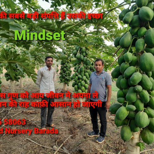 WhatsApp-Image-2022-11-22-at-10.39.33-PM-1