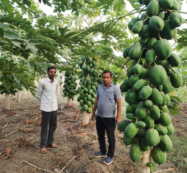 WhatsApp Image 2022-11-22 at 10.39.33 PM