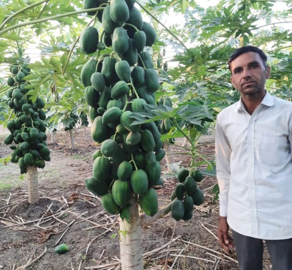 WhatsApp Image 2022-11-22 at 10.39.34 PM (1)