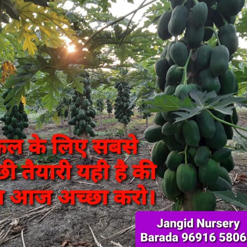 WhatsApp-Image-2022-11-22-at-10.39.34-PM