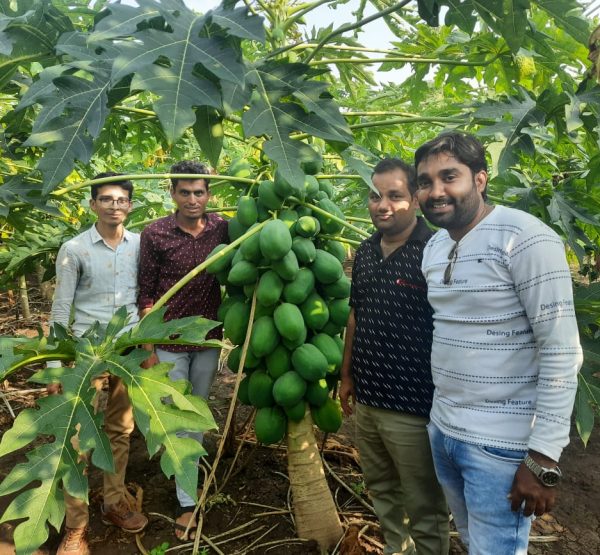 WhatsApp Image 2022-11-22 at 10.39.35 PM (2)