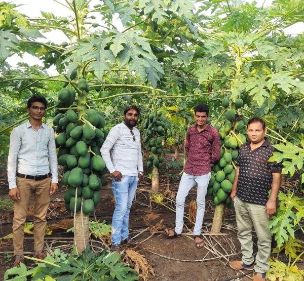 WhatsApp Image 2022-11-22 at 10.39.36 PM (2)