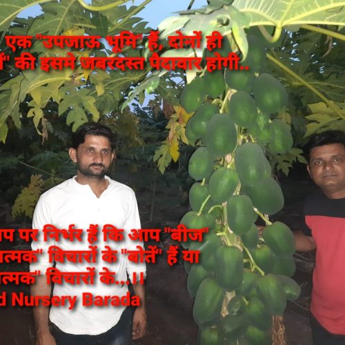 WhatsApp-Image-2022-11-22-at-10.39.37-PM-1