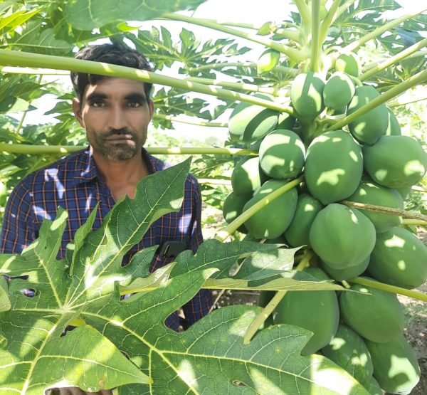 WhatsApp Image 2022-11-22 at 10.39.38 PM