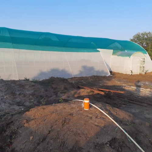 WhatsApp Image 2022-11-22 at 10.39.39 PM