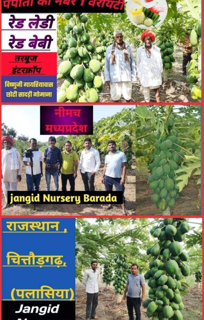 WhatsApp Image 2022-11-24 at 7.39.34 AM