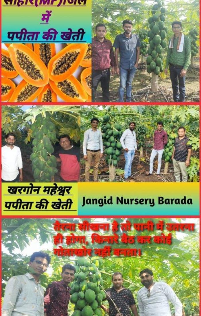 WhatsApp Image 2022-11-24 at 7.39.35 AM (1)