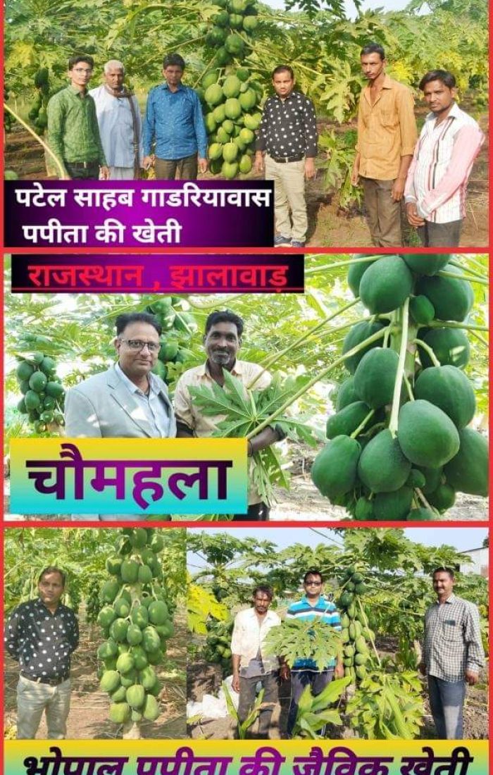 WhatsApp Image 2022-11-24 at 7.39.35 AM