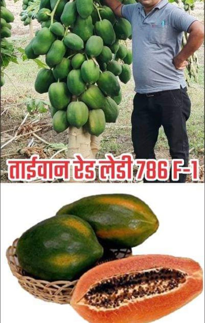 WhatsApp Image 2022-11-24 at 7.39.36 AM (2)