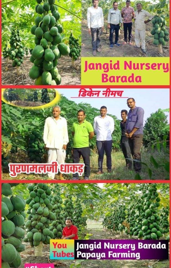 WhatsApp Image 2022-11-24 at 7.39.36 AM