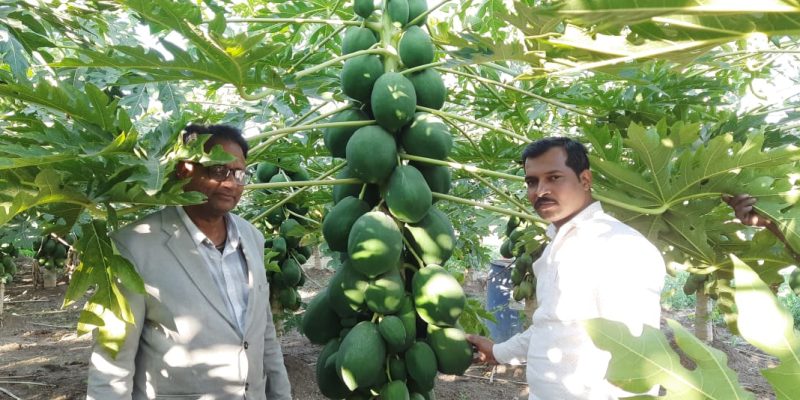 WhatsApp Image 2022-11-24 at 8.43.28 AM