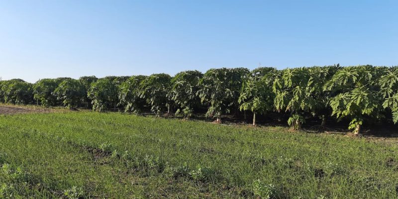 WhatsApp Image 2022-11-24 at 8.43.29 AM