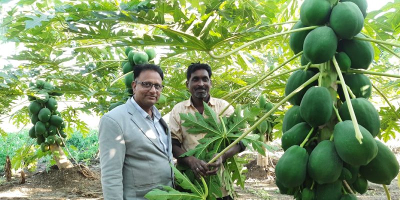 WhatsApp Image 2022-11-24 at 8.43.30 AM (1)