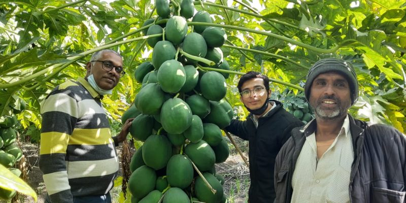 WhatsApp Image 2022-11-24 at 8.43.33 AM