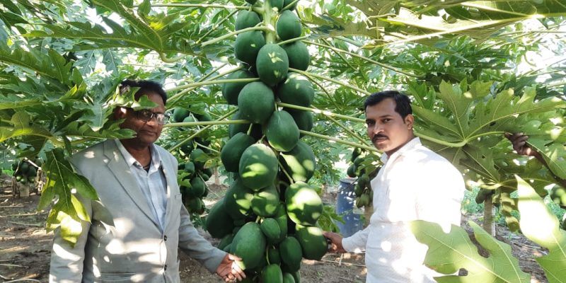 WhatsApp Image 2022-11-24 at 8.43.34 AM