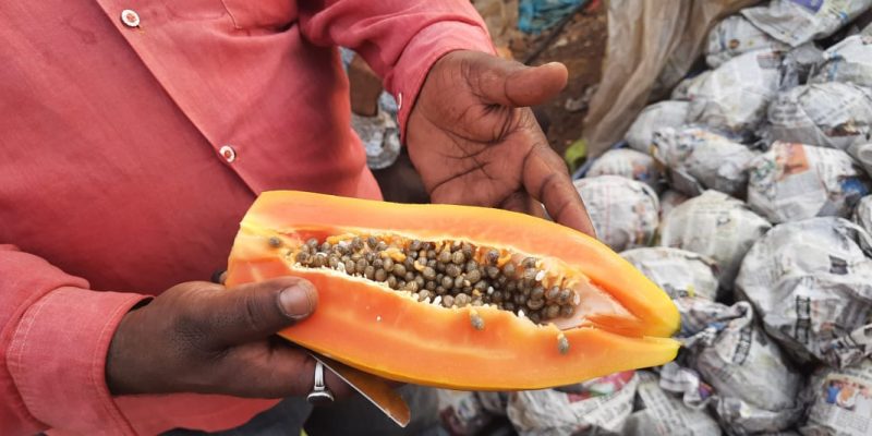 WhatsApp Image 2022-11-24 at 8.43.36 AM