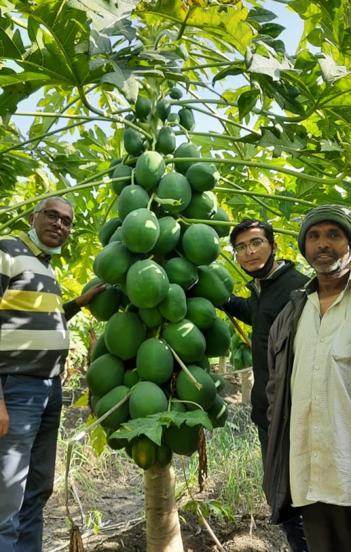 WhatsApp Image 2022-11-24 at 8.43.37 AM (1)