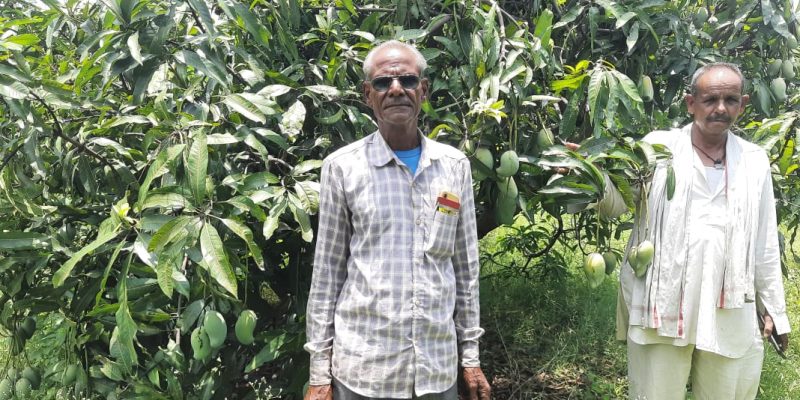 WhatsApp Image 2022-11-24 at 8.43.41 AM (1)