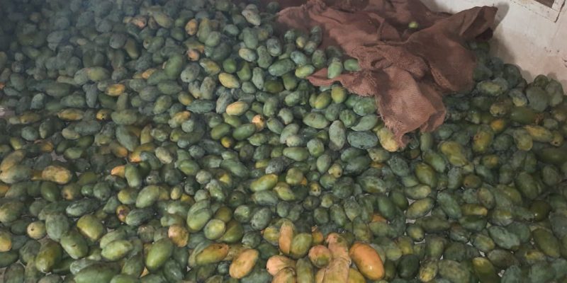 WhatsApp Image 2022-11-24 at 8.43.41 AM (2)