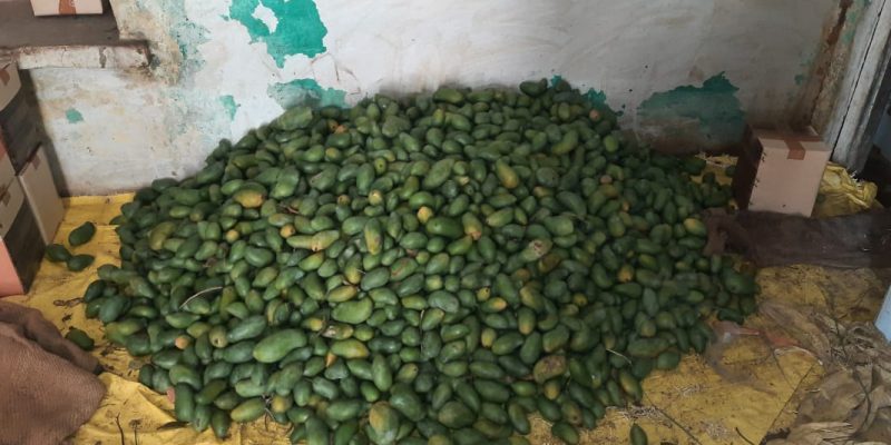 WhatsApp Image 2022-11-24 at 8.43.42 AM (2)