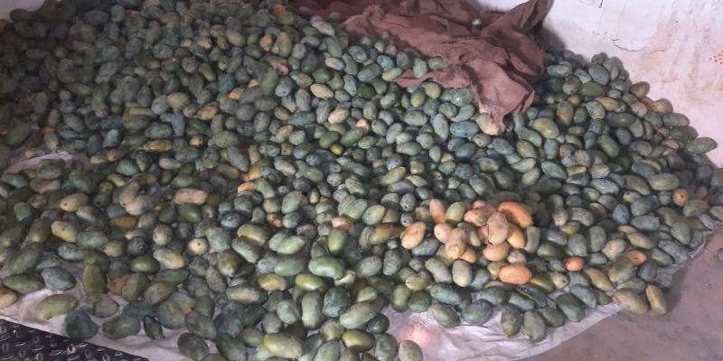 WhatsApp Image 2022-11-24 at 8.43.42 AM